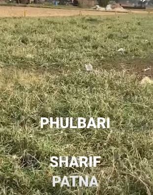 Residential Plot for sale in | Phulwari Sharif Patna | Residential Land for sale Nohsa Sir Syed Colony