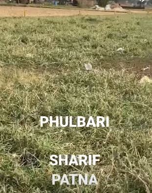 Residential Plot for sale in | Phulwari Sharif Patna | Residential Land for sale Nohsa Sir Syed Colony-1