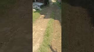 1 kattha plot for sale Near St Karen's School Gola Road Patna Residential plot for sale in Patna