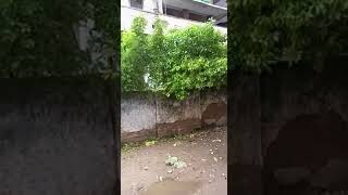 House For Sale in Rajendra Nagar Near | Jeevak Heart hospital | 2kattha | Ground +3 | Patna