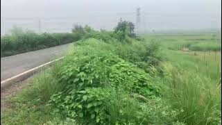 Plot for Sale | Bihta Sarmera Highway | Six Lane Road | 13 Lakh Kattha |-2