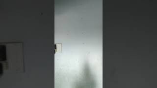 Semi commercial property Avilable In Boring Road Patna Property For Sale Near AN College Patna