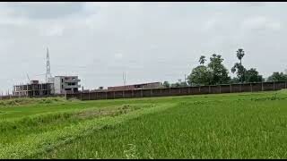 Agricultural Land For sales | Near Patna Buxar Four lane | 7 lakh | 2 Bigha | Bihta