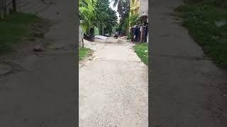 1 kattha plot for sale | Near TV Tower | Bhoothnath Road Kankarbagh | Patna Bihar | Corner 40 & 20 Feet |