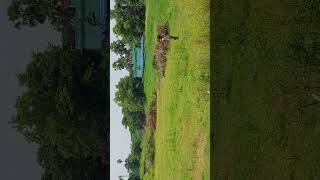 Residential Plot for sale Near | Bihta Sarmera Highway | Patna Naubatpur | 1361 sqft | 20 feet Road | 400 Meter from NH