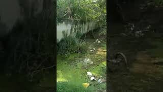 Residential Plot for sale Old Patliputra Colony Patna/ Corner Plot/ North & West/Rate 1.65Cr/kattha