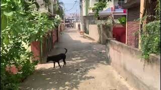 Residential Land For Sale in Ramnagri Ashiana Patna Bihar 2450Sqfit 35×70 1.15cr