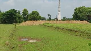 21Kattha plot for Sale | School  Hospital | Near NH-139 | 11 lakh Kattha | 200 meter From NH-139 Naunatpur |-2