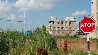 Plot Available Near Patliputra Railway Station-2