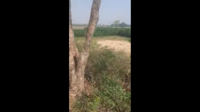 Cheapest agricultural land for sale in Bihar || 1 Bigha price in Patna ll Plot in Patna
