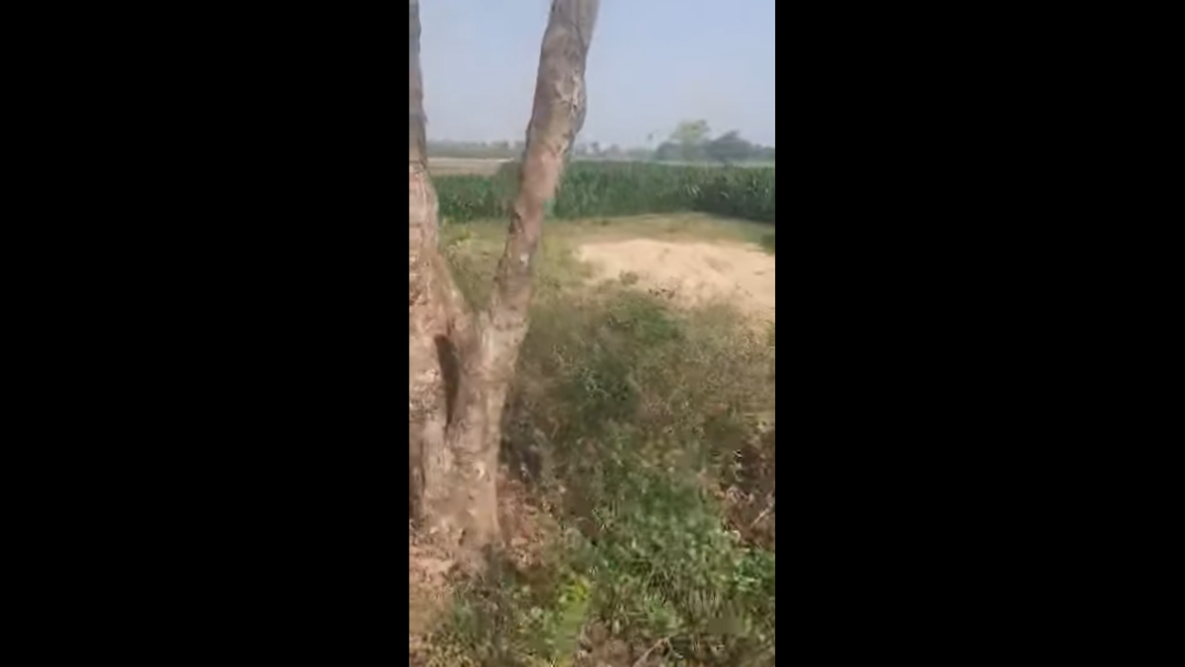 Cheapest agricultural land for sale in Bihar || 1 Bigha price in Patna ll Plot in Patna-1