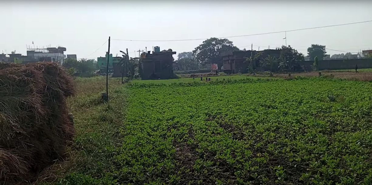 Low Cost Plot in Patna || Plot in Patna Under 50 Lakhs || Plot in Udaini Jaganpura Patna-4